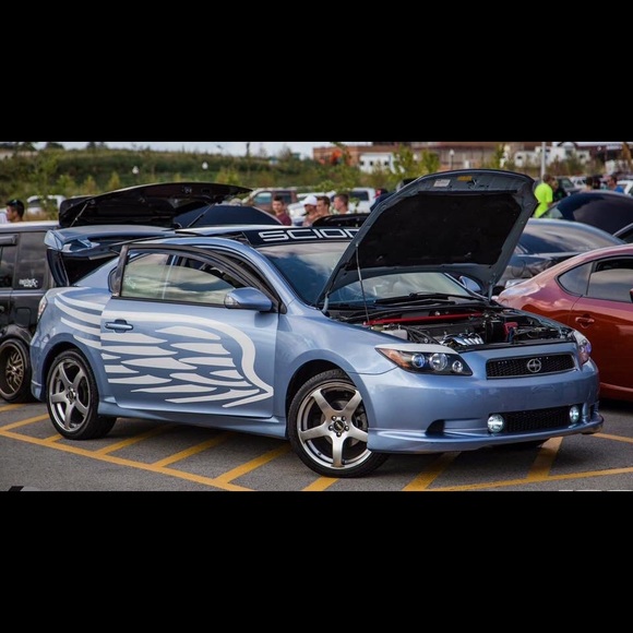 Meet your Posher, Gabriel - Picture 6 of 8